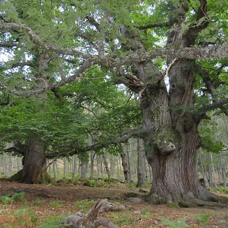 Acogedor Piso En * Эль-Тьембло