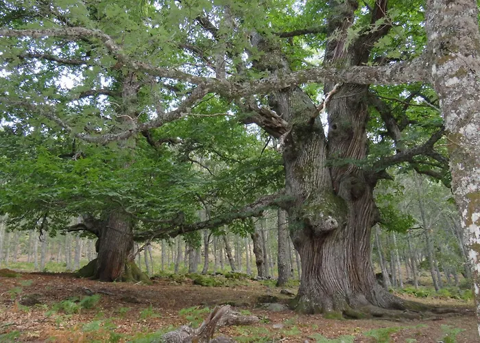 Acogedor Piso En * El Tiemblo